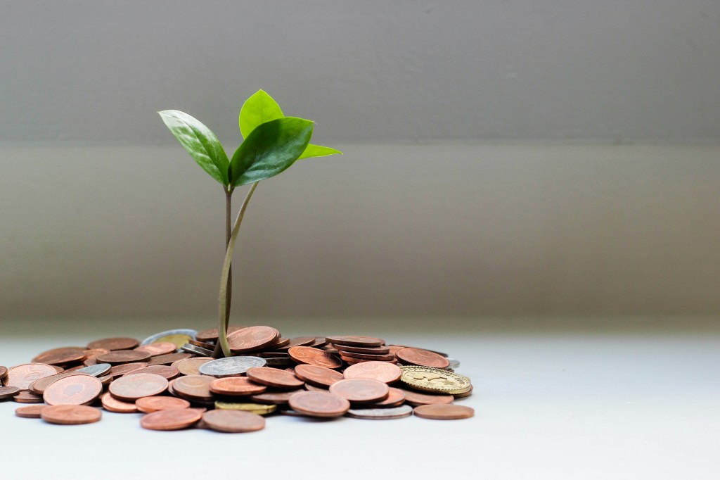 Une plante verte émergeant d'un tas de pièces de monnaie, symbolisant la croissance financière et la rentabilité.